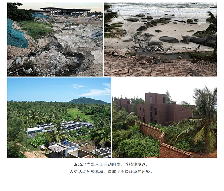 与自然共生-_-海南铜鼓岭国际生态旅游区海岸带生态修复_0003_图层-4.jpg