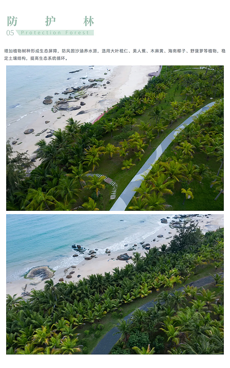 与自然共生-_-海南铜鼓岭国际生态旅游区海岸带生态修复_0022_图层-23.jpg