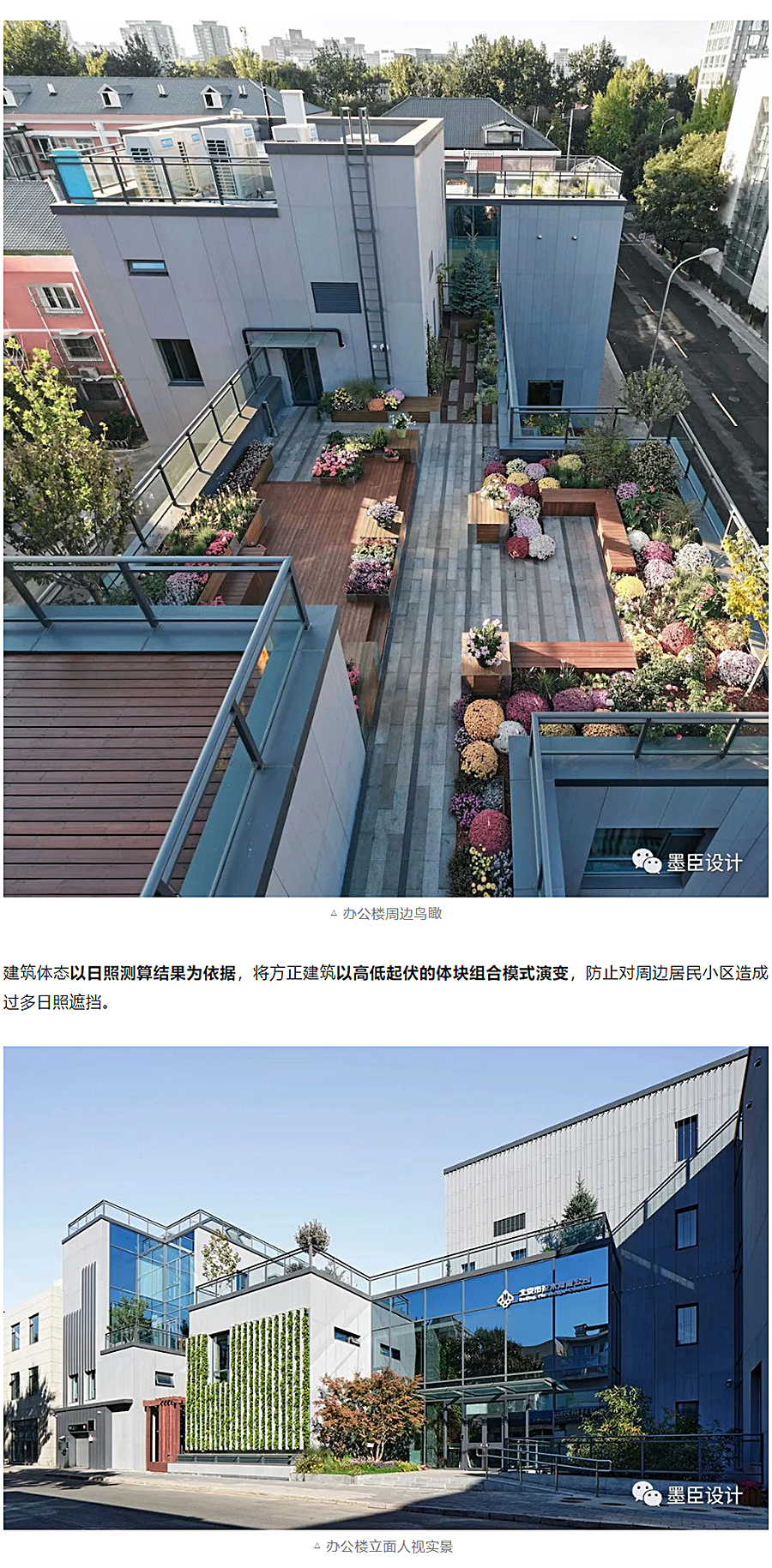 生态办公的游园序列-_-北京花木公司办公楼改造_0003_图层-4.jpg