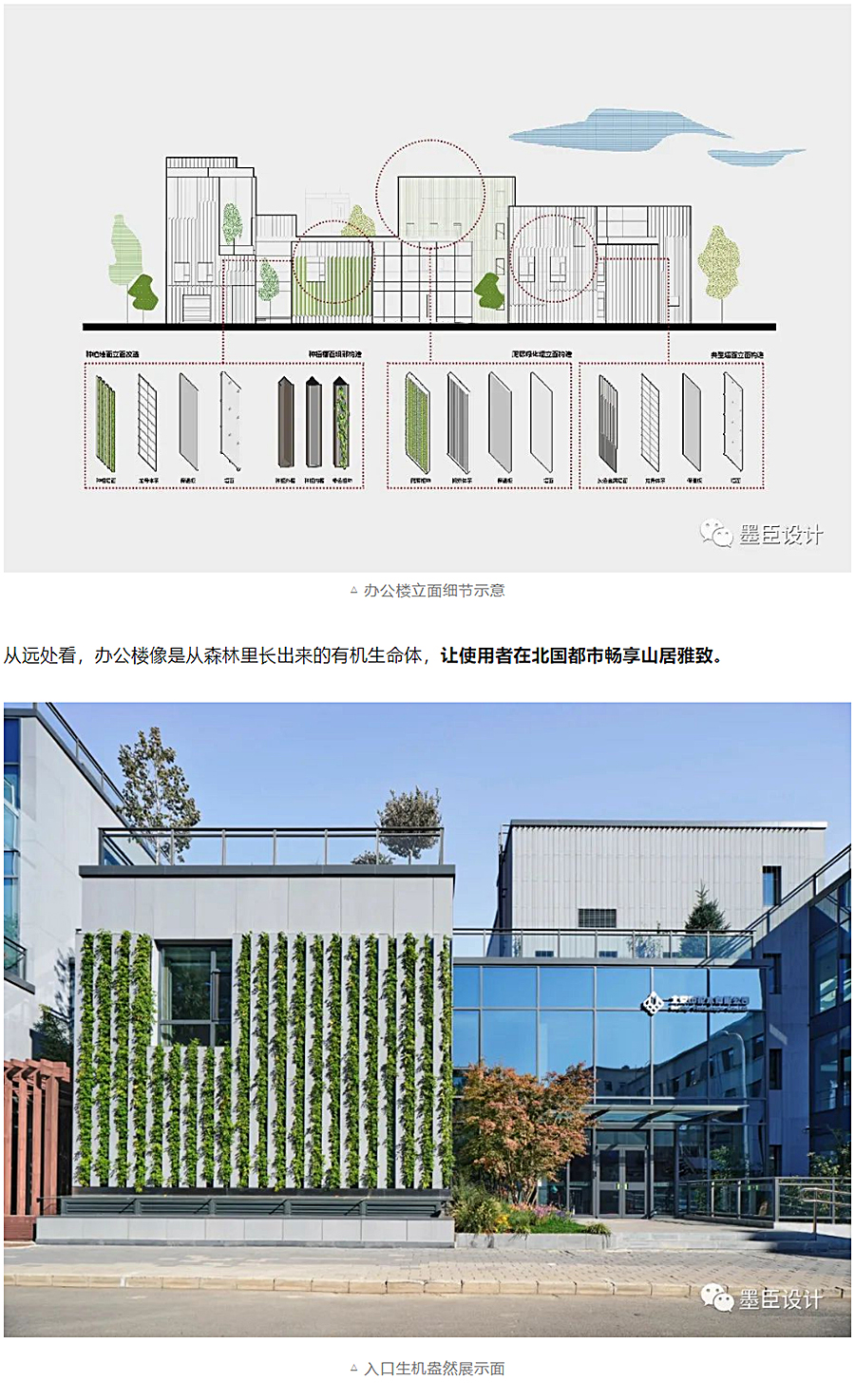 生态办公的游园序列-_-北京花木公司办公楼改造_0019_图层-20.jpg