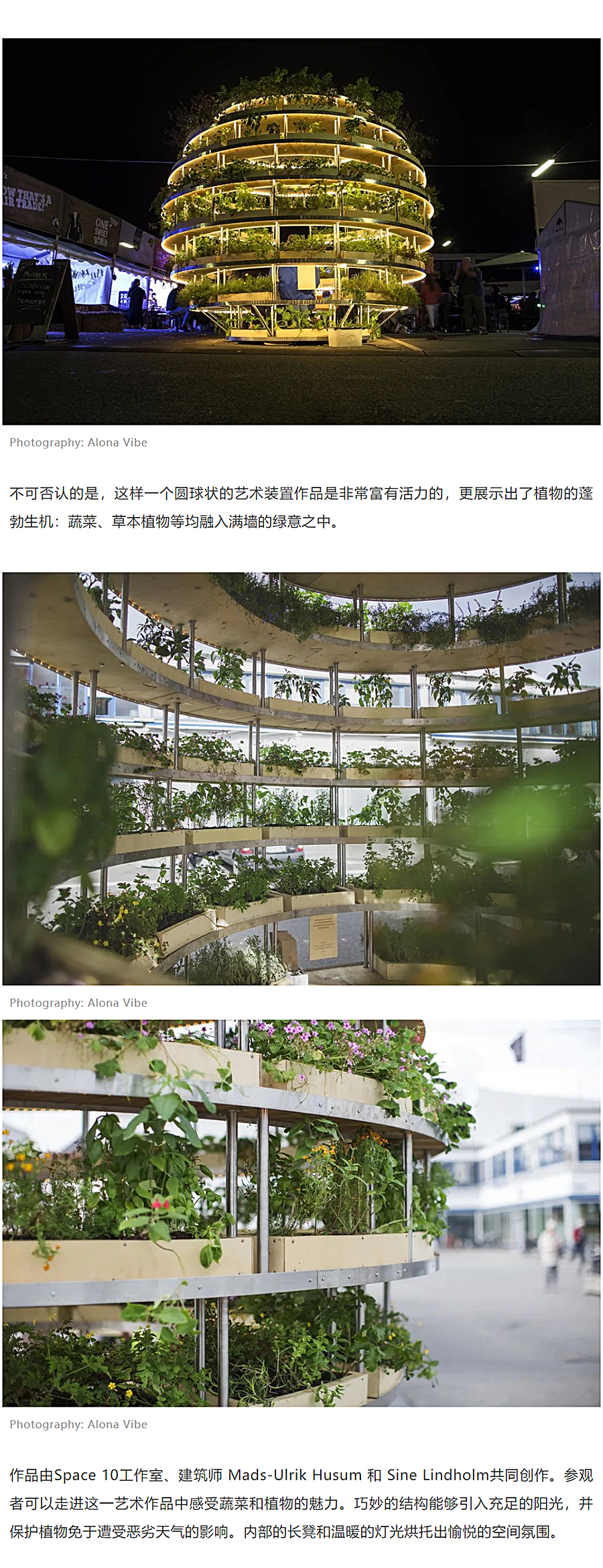 疫情之下，自己种个菜园还来得及吗？_0001_图层-2.jpg