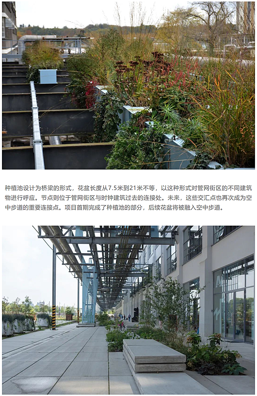 重抒飞利浦时代精神｜埃因霍温绿色管网街区_0015_图层-16.jpg
