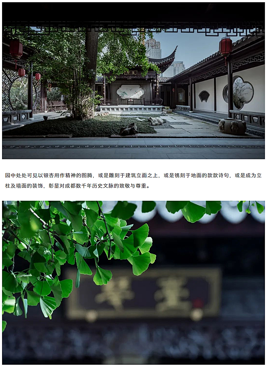 有幸，有杏丨成都建发·央玺_0010_图层-11.jpg