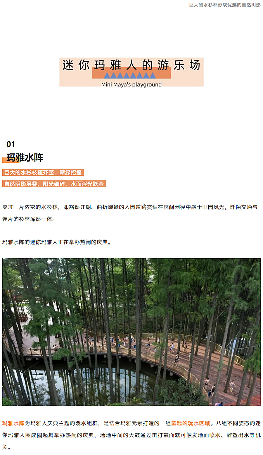 水杉林里的一段奇遇，长在森林中的水上乐园-_-武汉玛雅水公园三期“杉林奇遇-”_0004_图层-5.jpg