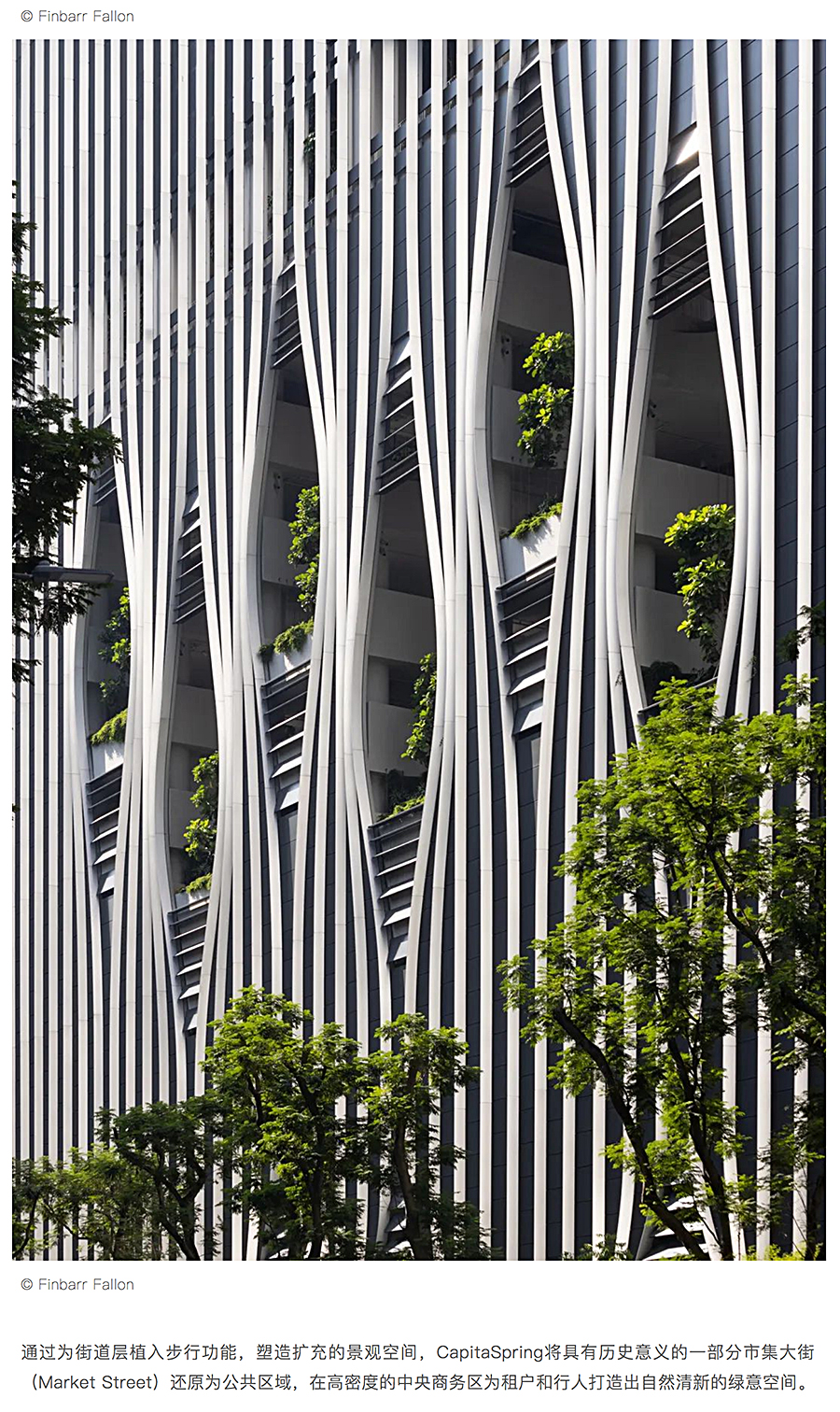Renewal-Zone：在停车场和市集旧址上打造的绿色先锋地标︱新加坡CapitaSpring_0006_图层-7.jpg