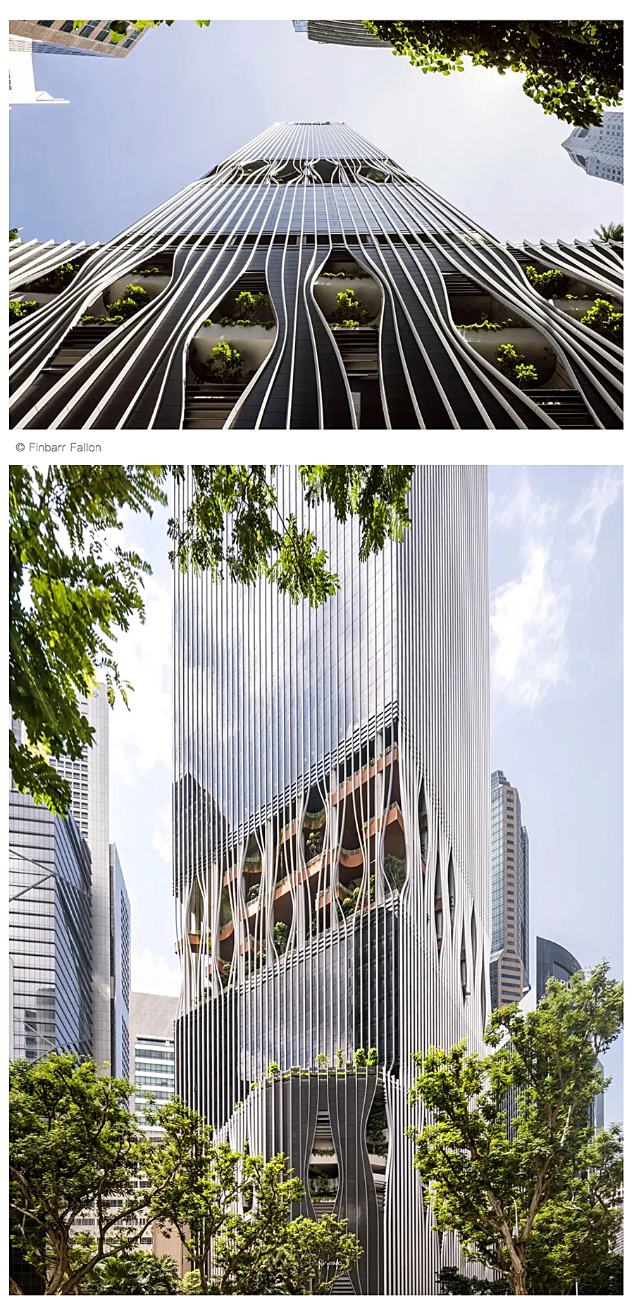 Renewal-Zone：在停车场和市集旧址上打造的绿色先锋地标︱新加坡CapitaSpring_0005_图层-6.jpg
