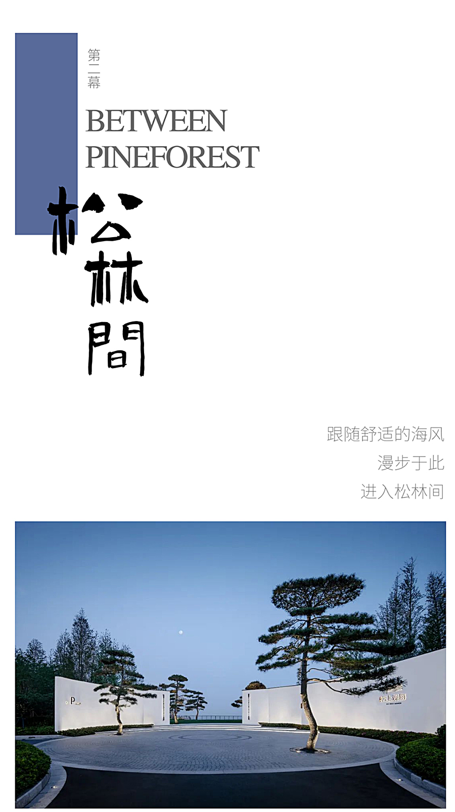 【2022REARD获奖作品赏析】松林浪屿，海岸逐光丨青岛-·-云上观海_0007_图层-8.jpg