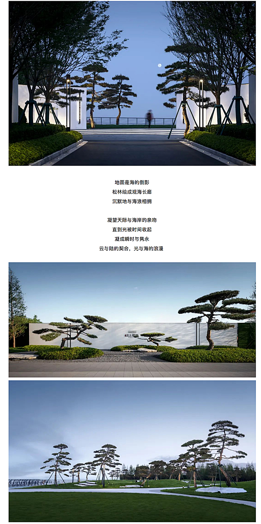 【2022REARD获奖作品赏析】松林浪屿，海岸逐光丨青岛-·-云上观海_0008_图层-9.jpg