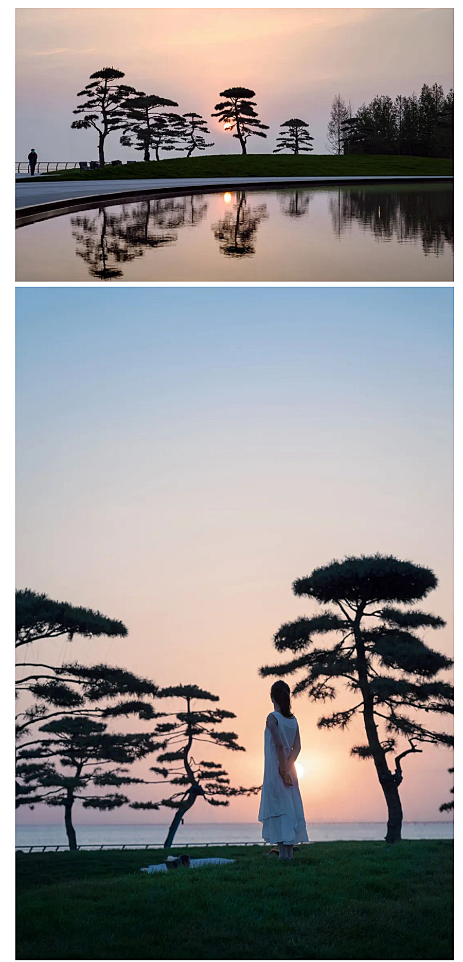 【2022REARD获奖作品赏析】松林浪屿，海岸逐光丨青岛-·-云上观海_0021_图层-22.jpg
