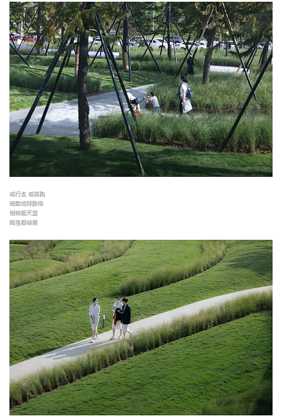 【2022REARD金奖作品赏析】星湖森海-_-成都首开金地-·-鹭鸣北湖_0001_图层-2 拷贝.jpg