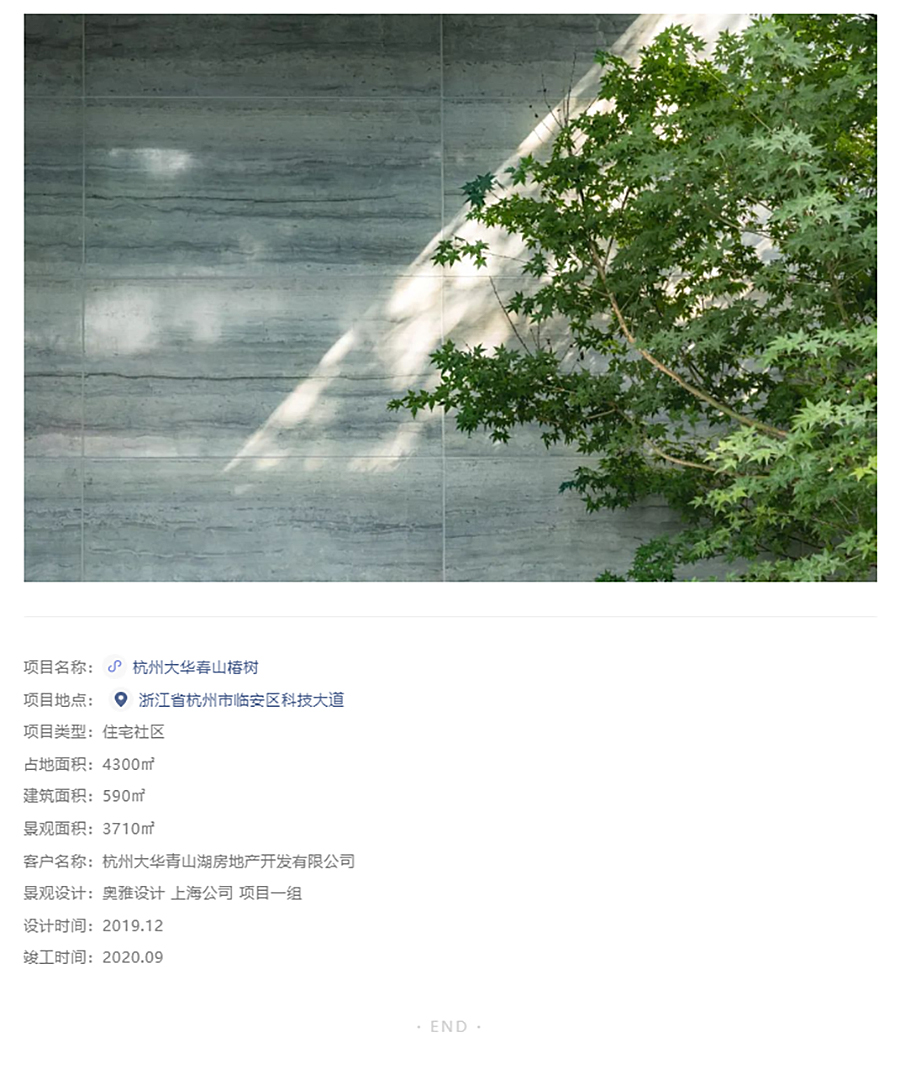 【2022REARD获奖作品赏析】树浸碧水中丨杭州大华春山椿树_0009_图层-10.jpg