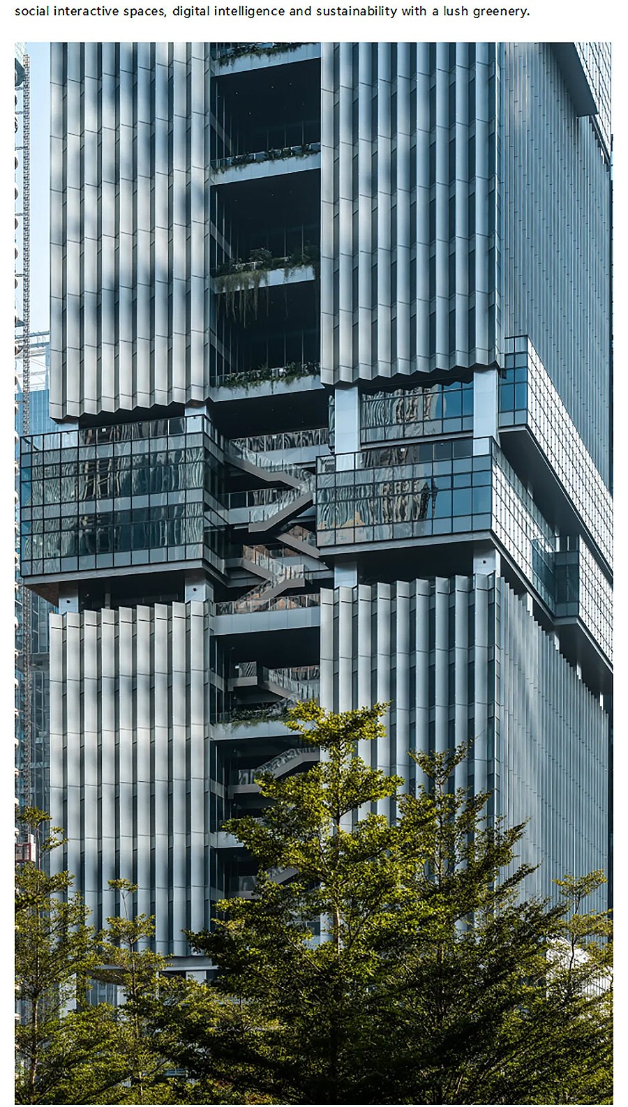 【2024REARD金奖作品_Aedas】深圳传音大厦-1_05.jpg