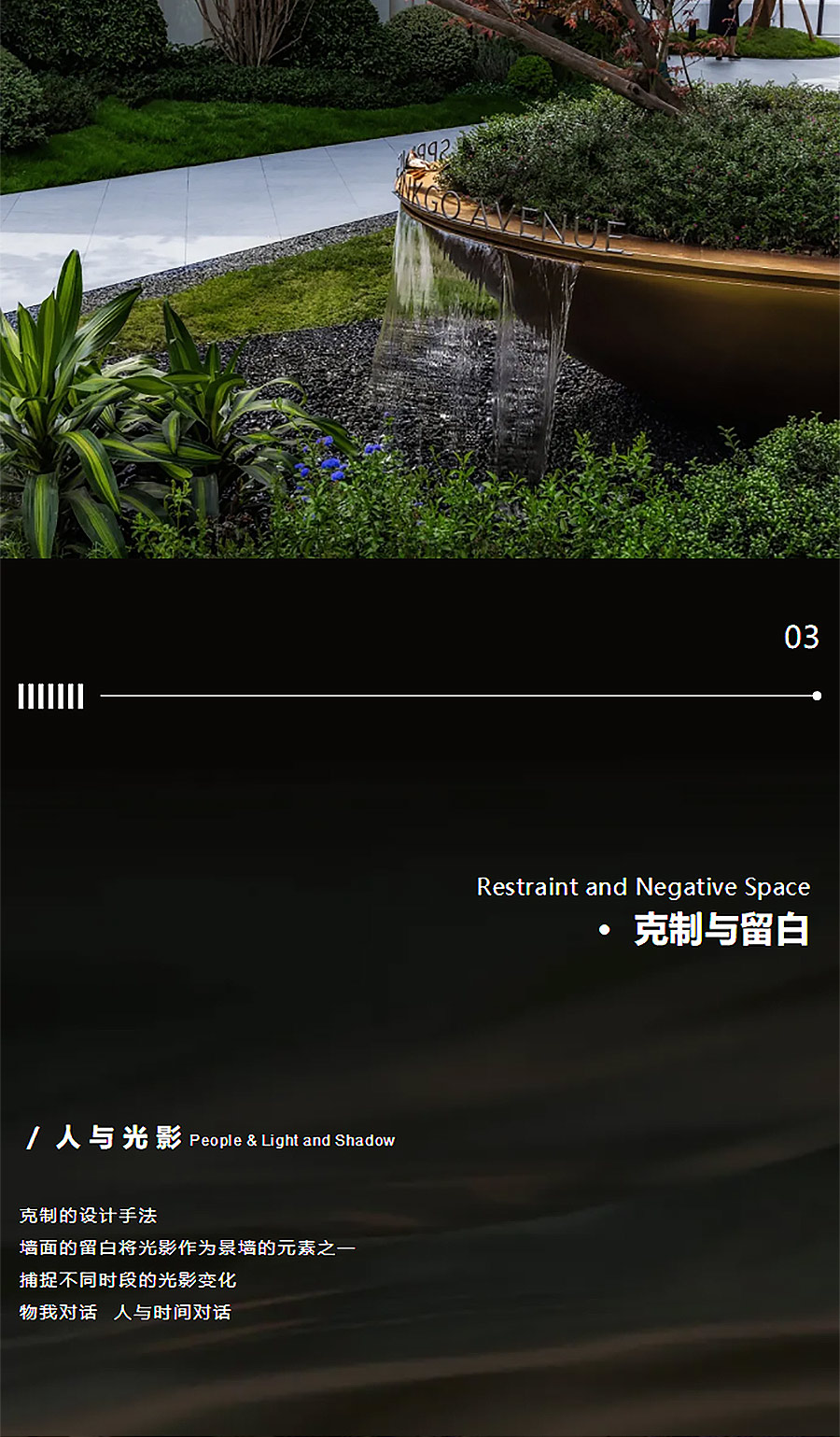 【2024REARD银奖作品回顾_山水比德】仁和春天银杏大道-3_04.jpg