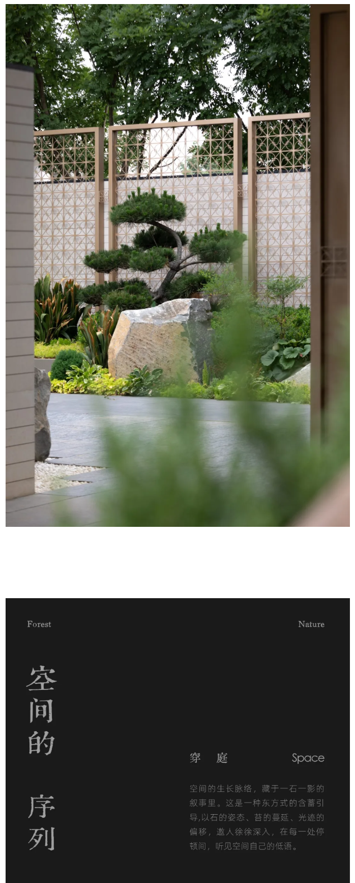 图层 12.png