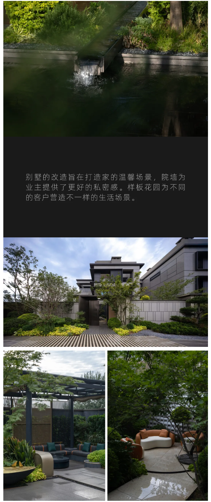 图层 24.png