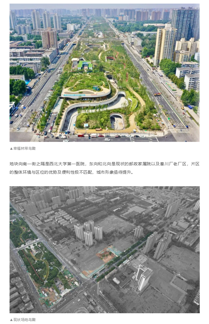 图层 3.png