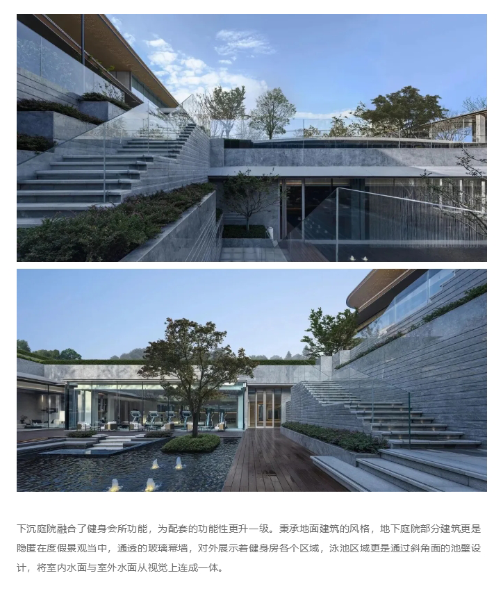 图层 19.png