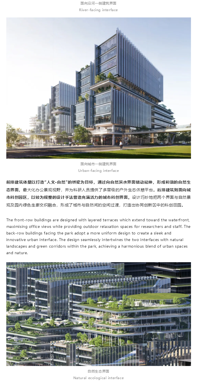 图层 6.png