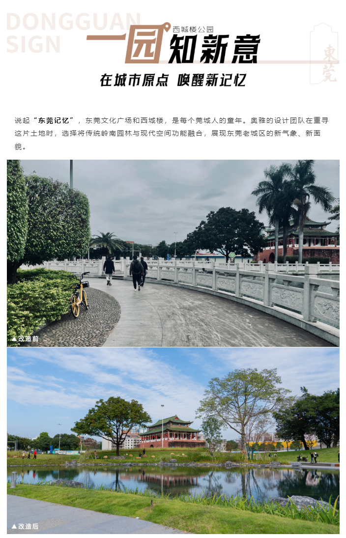 图层 12.png
